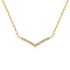 Classic V-Necklace